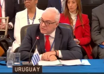 Lubetkin en la OEA: Haití debe ser prioridad, dijo