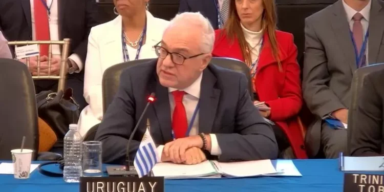 Lubetkin en la OEA: Haití debe ser prioridad, dijo