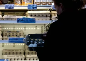 Los ‘huevos de oro’: por qué este alimento se está convirtiendo en un suntuosidad