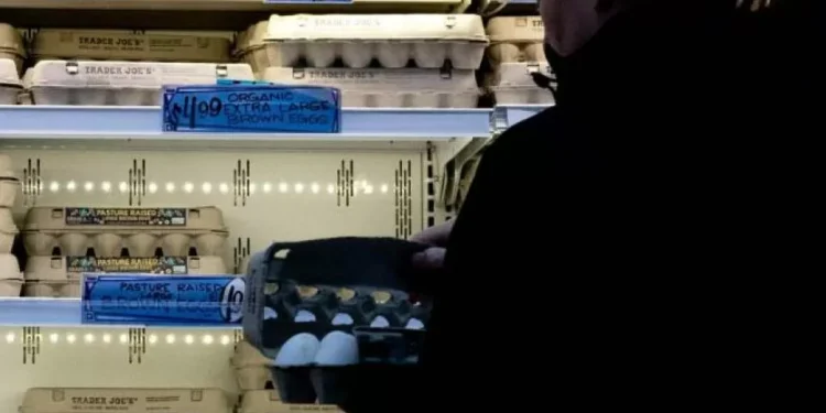 Los ‘huevos de oro’: por qué este alimento se está convirtiendo en un suntuosidad