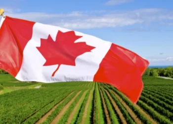 Ante la OMC Canadá reclama por aranceles de chinarro a sus productos agrícolas y de pesca