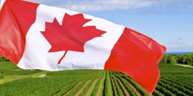 Ante la OMC Canadá reclama por aranceles de chinarro a sus productos agrícolas y de pesca