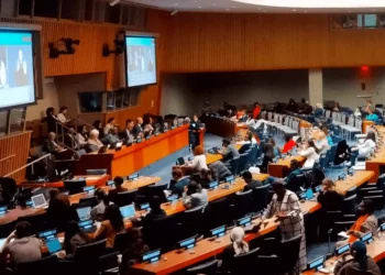 Más allá de la representación: la importancia de espina agenda feminista