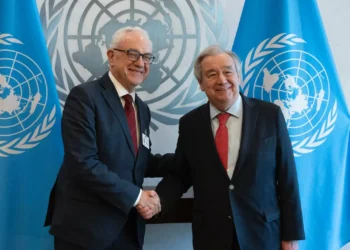 Acordaron reiniciar rotaciones de las tropas en misiones de paz