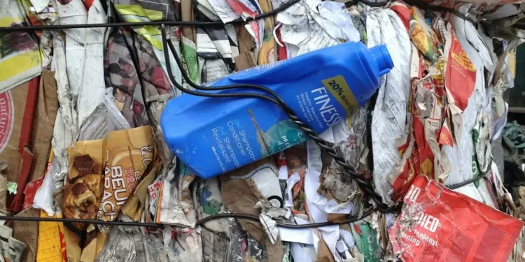 “La importancia del medio ambiente en nuestro tiempo”