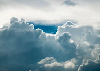 “La importancia de cuidar el medio ambiente”