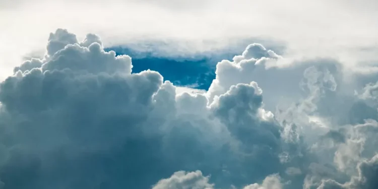 “La importancia de cuidar el medio ambiente”