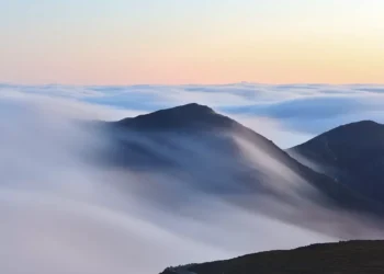 “Experiencias positivas en la preservación del Medio ambiente”