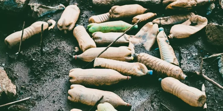 “Responsabilidad compartida: Cuidemos el Medio Ambiente”