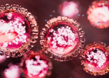 OPS advierte sobre brotes de sarampión y décima amarilla en las Américas