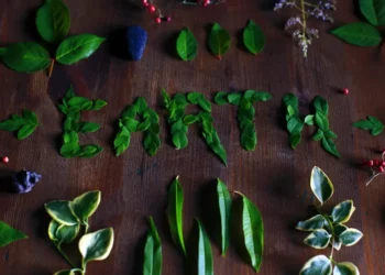 “La Importancia del Cuidado del Medio Ambiente en la Actualidad”
