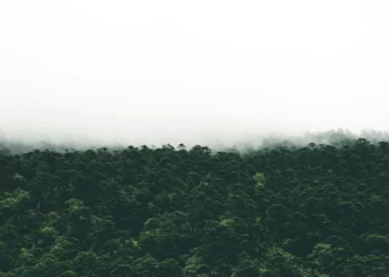 “Preservando nuestro planeta para el futuro”