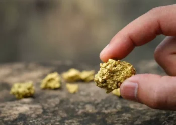 Precio del oro alcanza un nuevo máximo histórico, al anticipar los 3.500 dólares la onza