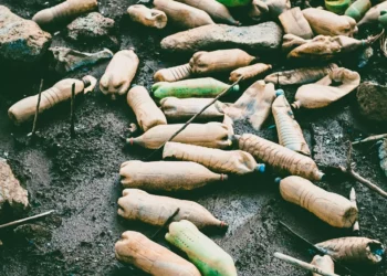 “Experiencias positivas en la preservación del medio ambiente”
