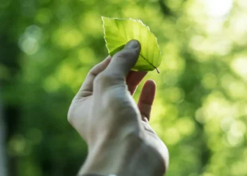 “Experiencias positivas en la protección del Medio ambiente”