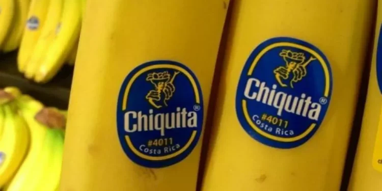 Bananera Chiquita cesa sus operaciones en Panamá: las razones