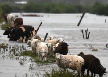 Un muerto, tres desaparecidos y casi 2.000 evacuados por inundaciones en Buenos Aires