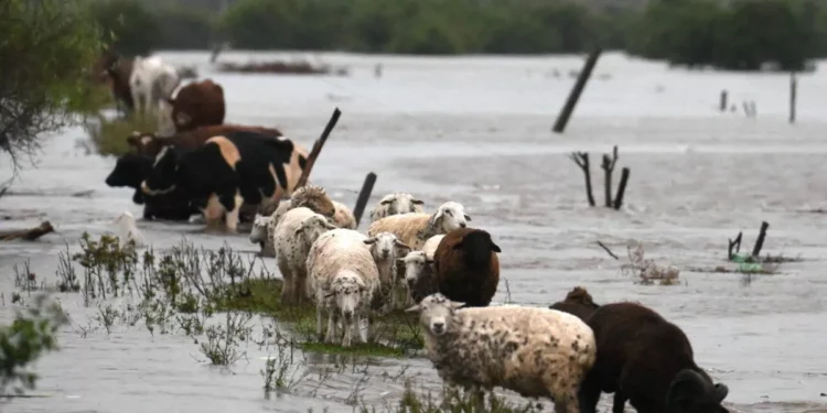 Un muerto, tres desaparecidos y casi 2.000 evacuados por inundaciones en Buenos Aires