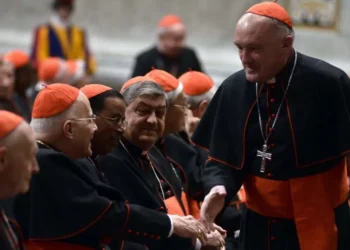 Cómo funciona la metáfora del cardenal y qué papel tiene en la elección del papa