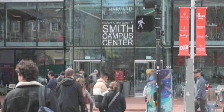 ministerio de Donald Trump suspende la tramitación de visas para estudiantes extranjeros