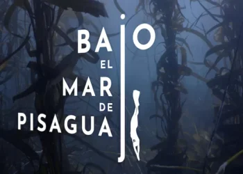Mar de Pisagua se toma el Mes del Mar: estrenarán cortometraje filmado en la primera área cuadro protegida de Tarapacá