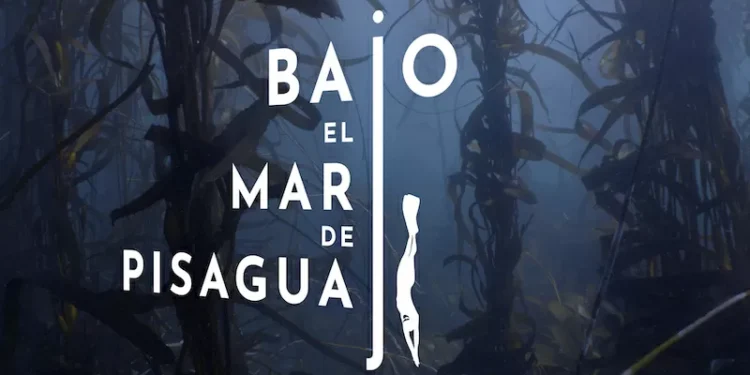 Mar de Pisagua se toma el Mes del Mar: estrenarán cortometraje filmado en la primera área cuadro protegida de Tarapacá