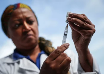 La OPS señala al dengue, la resfriado aviar y el Oropuche como los mayores retos en América