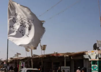 Talibanes esperan progresos en las relaciones con Trump