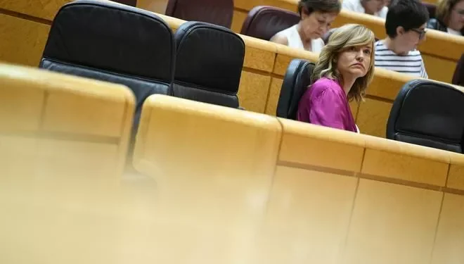 puerco Alegría comparece hoy en la comisión del Senado sobre el caso Koldo