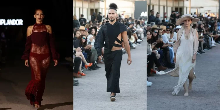 Cuatro colecciones regionales ganadoras en Pasarela de Humberstone