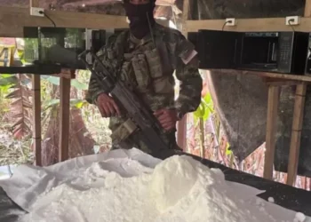 Cómo la producción ecuménico de cocaína alcanza cifras récord