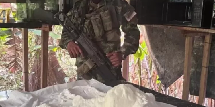 Cómo la producción ecuménico de cocaína alcanza cifras récord