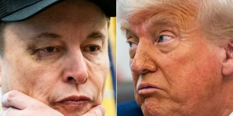 La relación Trump-Musk se derrumba: las fuertes acusaciones y decepciones entre entreambos