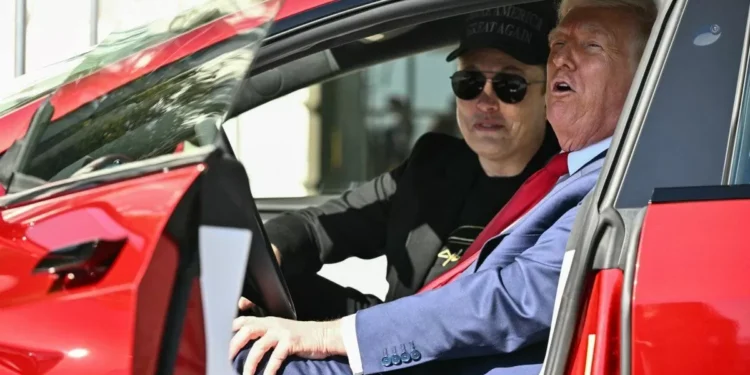 Trump evalúa deshacerse de su Tesla tras su altercado pública con Elon Musk