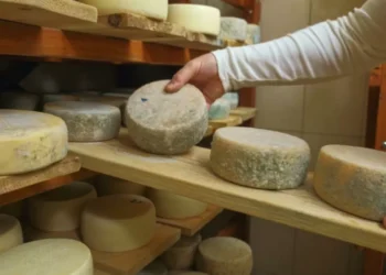 nunca es Brasil: este es el país de Sudamérica que tiene ‘los quesos más caros del mundo’