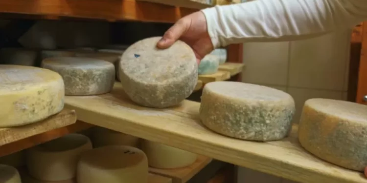 nunca es Brasil: este es el país de Sudamérica que tiene ‘los quesos más caros del mundo’