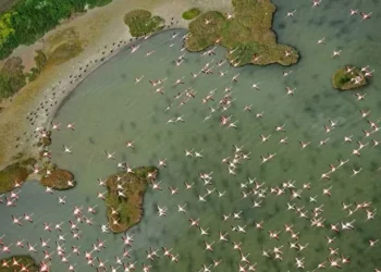 La Unesco urge a España a dirigir el acuífero de Doñana para evitar su inclusión en la ‘Lista en Peligro’