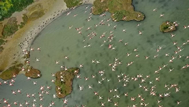 La Unesco urge a España a dirigir el acuífero de Doñana para evitar su inclusión en la ‘Lista en Peligro’