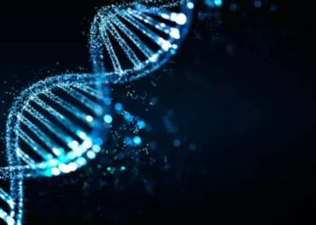 Científicos secuencian el genoma de una persona del antiguo Egipto