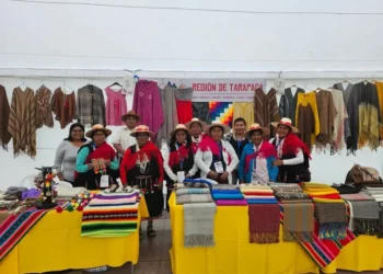 Tarapacá es posición del XVIII Encuentro de Cultoras y Cultores Indígenas y Afrodescendientes