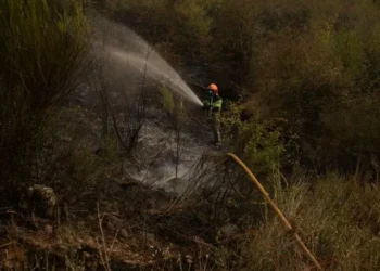 Última hora de los incendios en España | La situación de los fuegos mejora luego el riesgo de nuevos fuegos es muy alto