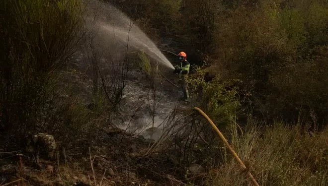 Última hora de los incendios en España | La situación de los fuegos mejora luego el riesgo de nuevos fuegos es muy alto