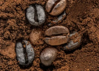 Las exportaciones de café de Brasil caen un 21,4% hasta julio