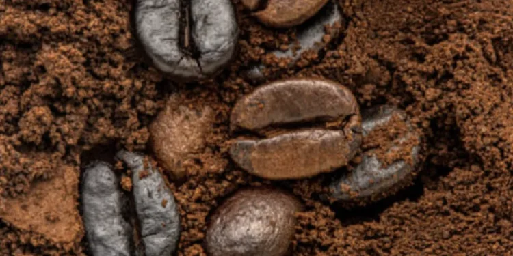 Las exportaciones de café de Brasil caen un 21,4% hasta julio