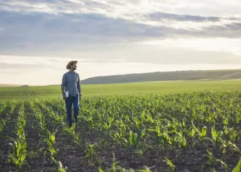 campo mexicano advierte que Donald Trump usa alimentos como ‘arma de presión’ al país