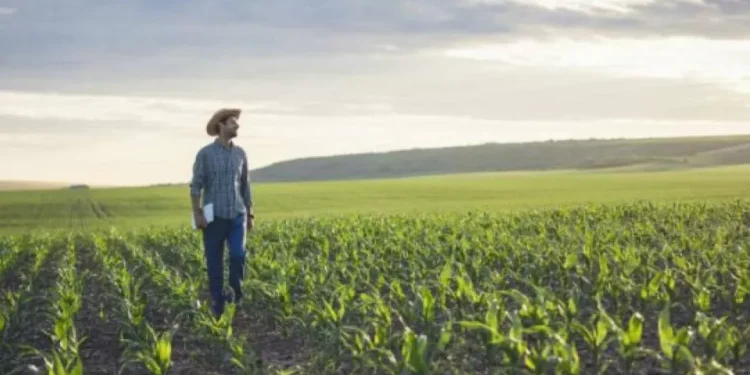 campo mexicano advierte que Donald Trump usa alimentos como ‘arma de presión’ al país