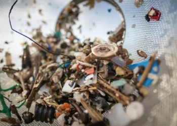 Más de 180 países en Ginebra con dificultades para concertar sobre la contaminación plástica