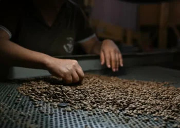 Cafeteros de Brasil creen que morro no supone alternativa para el mercado de EE. UU.