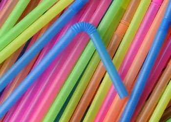 Embajador ecuatoriano advierte que la contaminación plástica pero altera al ADN humano