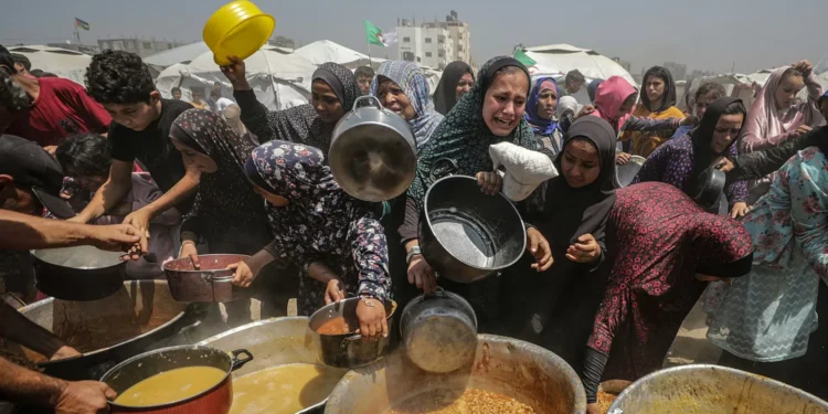 Hamás confirma que ha aceptado una propuesta de alto el salva en Gaza